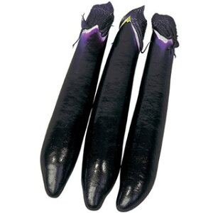 iX  y { z ܁i0.5mlj ( iX̎ )