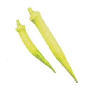 IN  y Ђ z 1dl ( IN̎ )