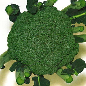 ubR[  y 93 z  ( ubR[̎ )