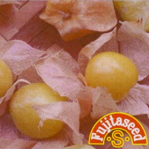 Hpg}gق  y LfB[S[h z  ( Hpg}gق̎ )