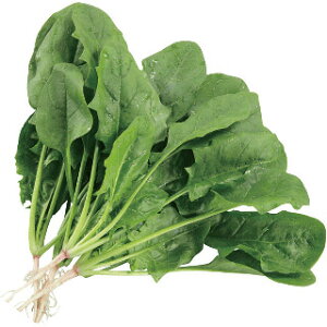 ق  y L z 30ml ( ق񑐂̎ )