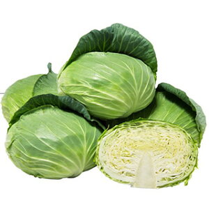 Lxc  y F1 z ybg5痱 ( Lxc̎ )