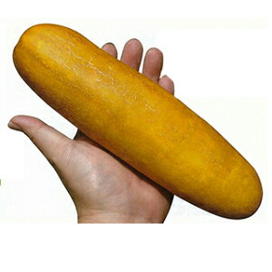 E  y F1ߐԖщZ z  ( E̎ )