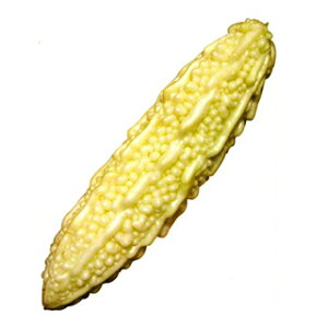 jKE  y S[[ z ܁i100j ( jKE̎ )