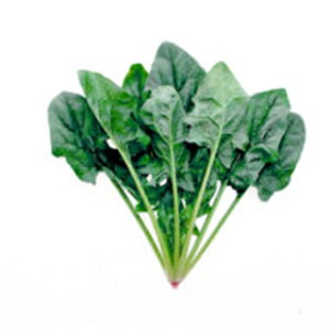 zE\E  y fB[vT}[ z L 1L ( zE\E̎ )