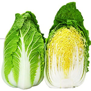 nNTC  y 낱 z 20ml ( nNTC̎ )
