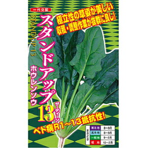 ق  y X^hAbv13 z PRM3 ( ق񑐂̎ )