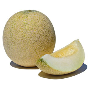 メロン 種 【 メロン(ネット) ムーンライト 】 小袋(5粒) ( メロンの種 )