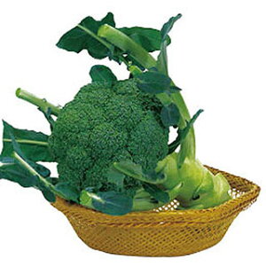 ubR[  y T~bg z ybg5痱 ( ubR[̎ )