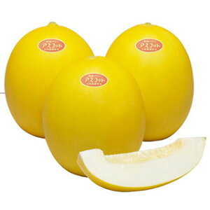   y AXRbg z ܁i7j ( ̎ )