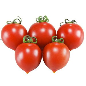 g}g  y ~fBg}g Tu z 1000 ( g}g̎ )