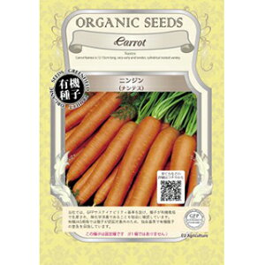 jW  y ieX z  ( jW̎ )