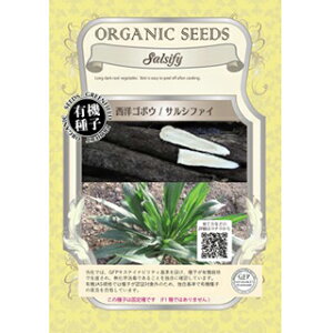 S{E  y mS{E/TVt@C z  ( S{E̎ )