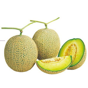   y A[X_[ Čn z ܁i8j ( ̎ )