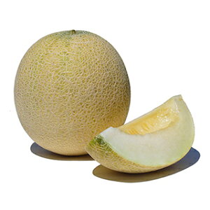 メロン 種 【 メロン(ネット) ムーンライト 】 小袋(100粒) ( メロンの種 )