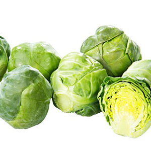 Lxc  y tFXeBo z  ( Lxc̎ )