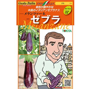 iX  y c@[lE[u z 100 ( iX̎ )