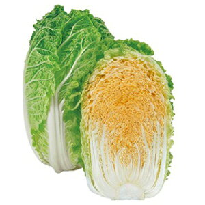 nNTC  y IWA z ܁i0D5mlj ( nNTC̎ )