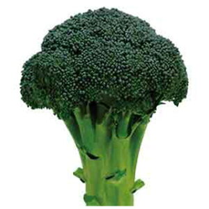 ubR[  y  z ybg5痱 ( ubR[̎ )