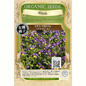 n[u  y rIi3FX~@gR[j z  ( n[u̎ L@q)