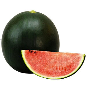 XCJ  y Ă܂ z ܁i7j ( XCJ̎ )