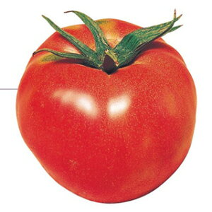 g}g  y ^ z ܁i1mlj ( g}g̎ )