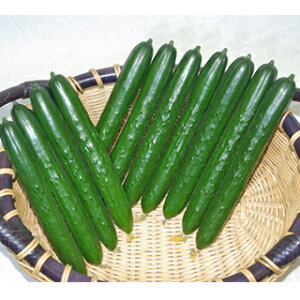 LE  y ݂ǂp[ z 350 ( LE̎ )