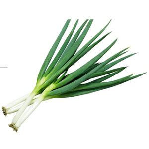 lM  y Ƃ z  ( lM̎ )