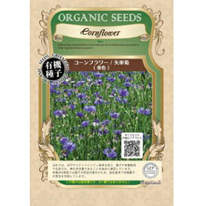 R[t[  y ԋe F z  ( R[t[̎ )