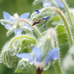 n[u  y {W z  ( n[u̎ )