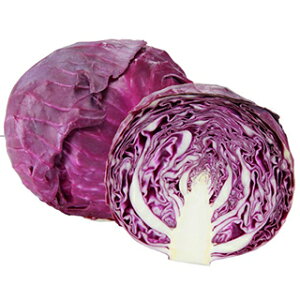 �L���x�c �� �y ���� �z ���܁i1ml�j ( �L���x�c�̎� )