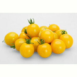 ~jg}g  y TYeBG z ܁i100j ( ~jg}g̎ )