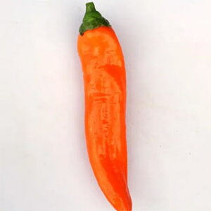 s[}  y s[@IW z ܁i10j ( s[}̎ )