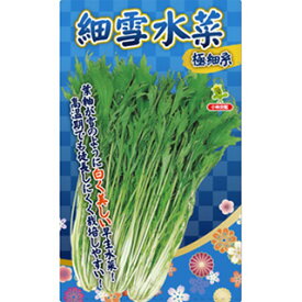 水菜 種 【 細雪水菜－極細系－ 】 20ml ( 水菜の種 )