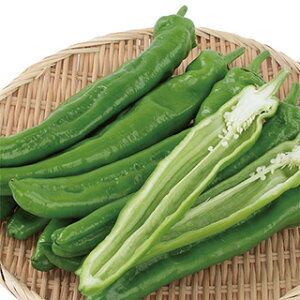 gEKV  y W{Ƃ炵@W[ z 珬 ( gEKV̎ )