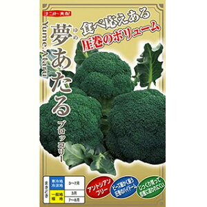 ubR[  y  z ܁iR[g40j ( ubR[̎ )