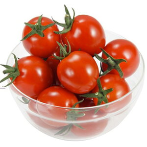 g}g  y ~jg}g XC[g}XRbg z  ( g}g̎ )