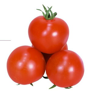 g}g  y Ԋۃ~fB z  ( g}g̎ )