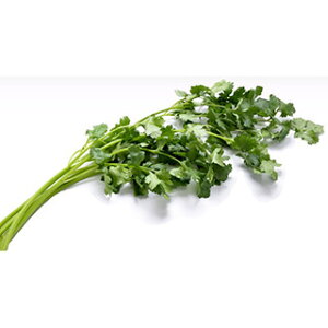 RA_[  y pNpN`[ z 20ml ( RA_[̎ )