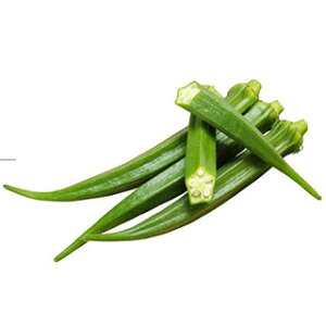 IN  y X^[O z  ( IN̎ )