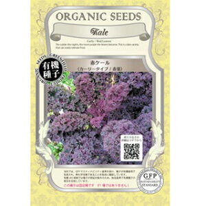 ԃP[  y J[[^Cv ԗt z  ( ԃP[̎ )