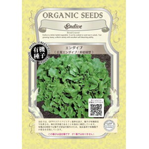 有機種子 緑肥 種 【 広葉エンダイブ 非結球型 】 小袋 ( 緑肥の種 )