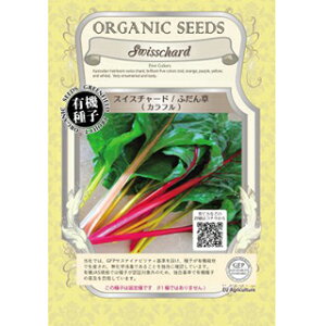 L@q ӂ  y XCX`[h Jt z  ( ӂ񑐂̎ )