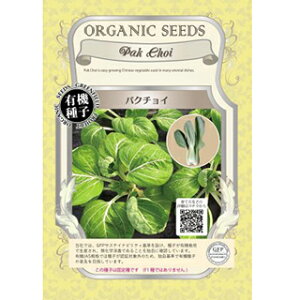 L@q n[u  y pN`C z  ( n[u̎ )