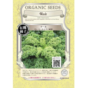 L@q P[  y J[[^Cv Ηt z  ( P[̎ )