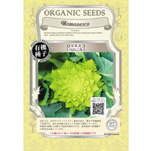 L@q }lXR  y xjJ z  ( }lXR̎ )