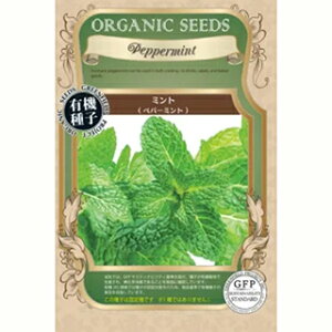 n[u  y L@~g@yp[~g z  ( n[u̎ )