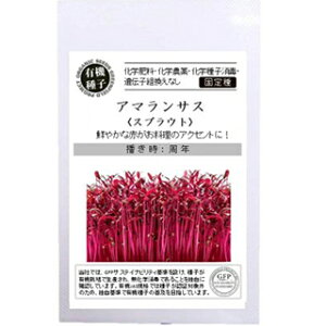 L@q XvEg  y A}TX z  ( XvEg̎ )