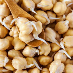 L@q XvEg  y L@Ђ悱 Ko] z  ( XvEg̎ )