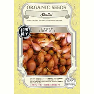 緑肥 種 【 シャロット コンサーバー 】 1万粒 ( 緑肥の種 )